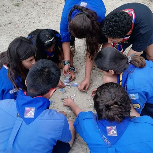 Scouts trabajan en equipo
