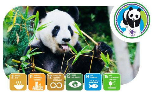 Desafio Champions for Nature de EarthTribe