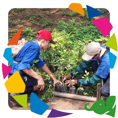 Earth Tribe scouts cuidan la naturaleza