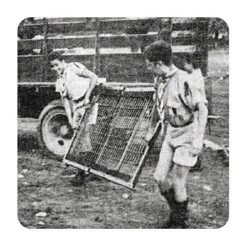 Scouts en acción ayudando a damnificados del terremoto