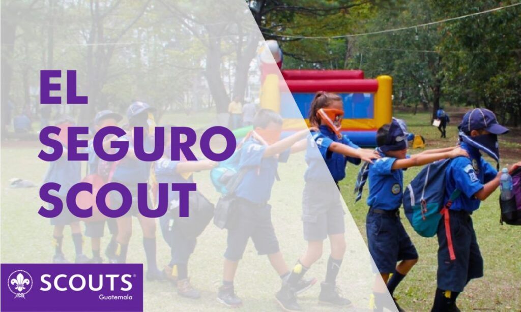El Seguro Scout